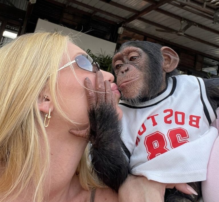 Virginia enfrenta polêmica ao compartilhar vídeo em que beija um macaco